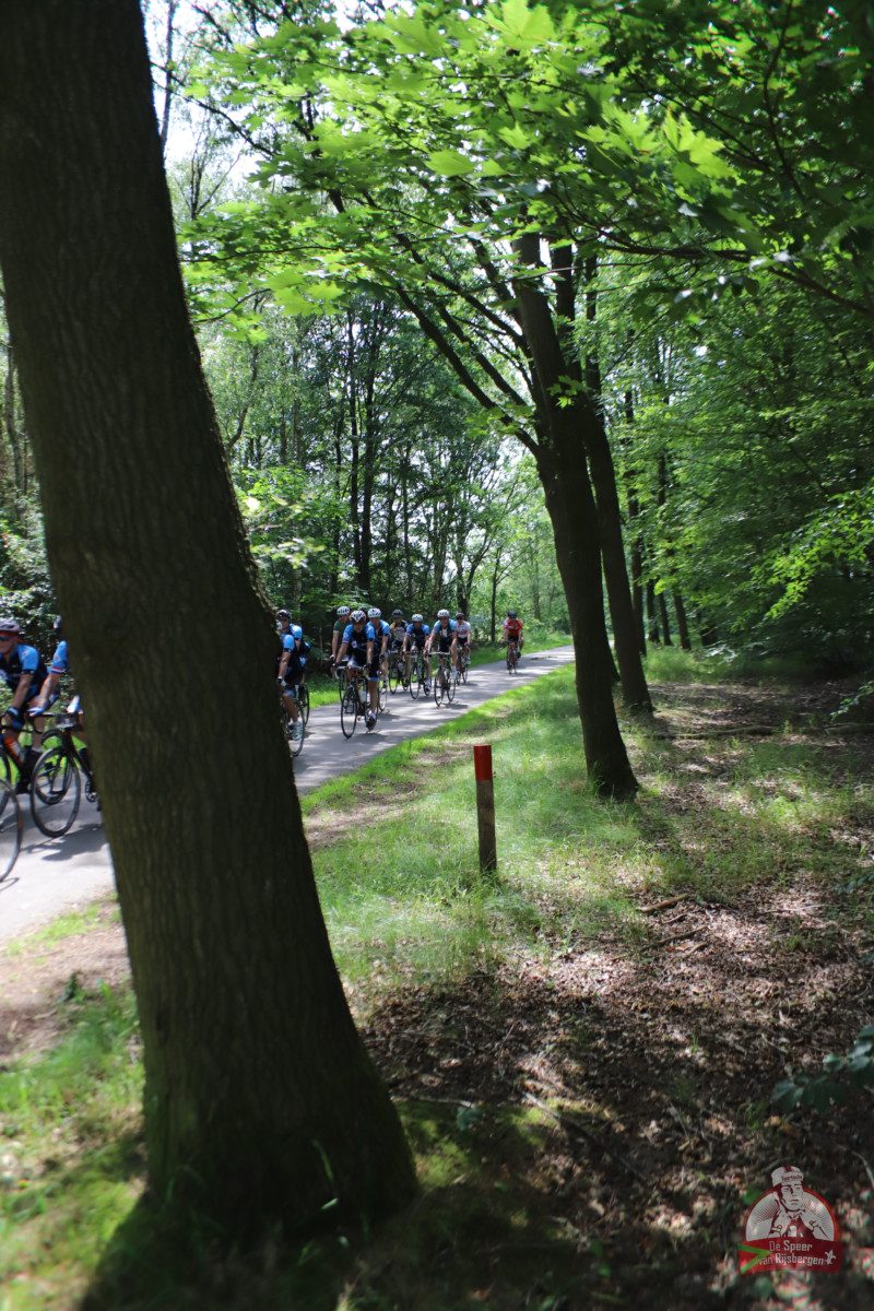 Speer van Rijsbergen 2019