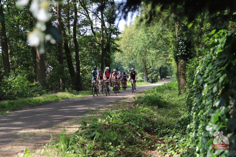 Speer van Rijsbergen 2019
