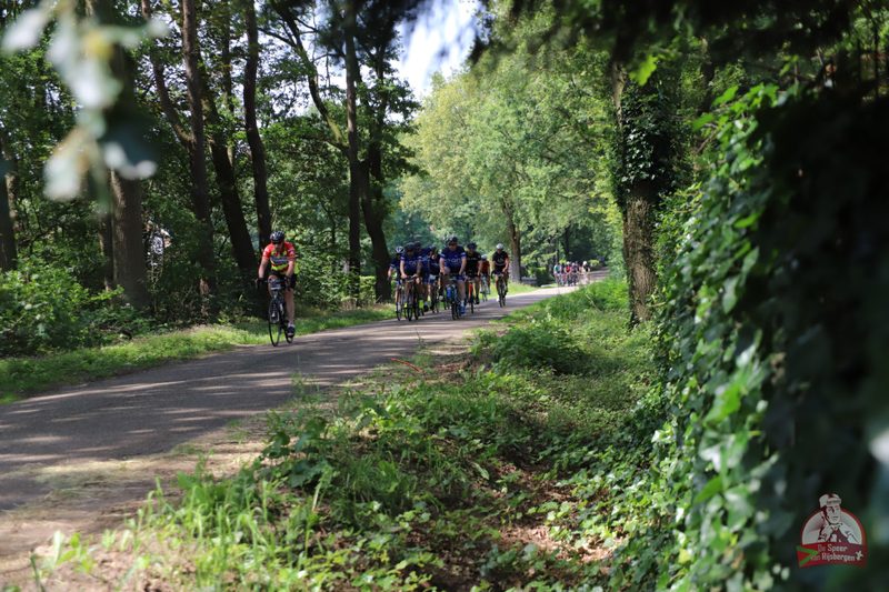 Speer van Rijsbergen 2019
