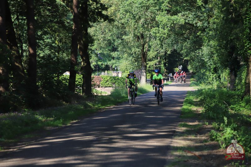 Speer van Rijsbergen 2019
