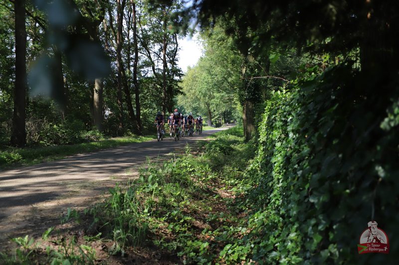 Speer van Rijsbergen 2019